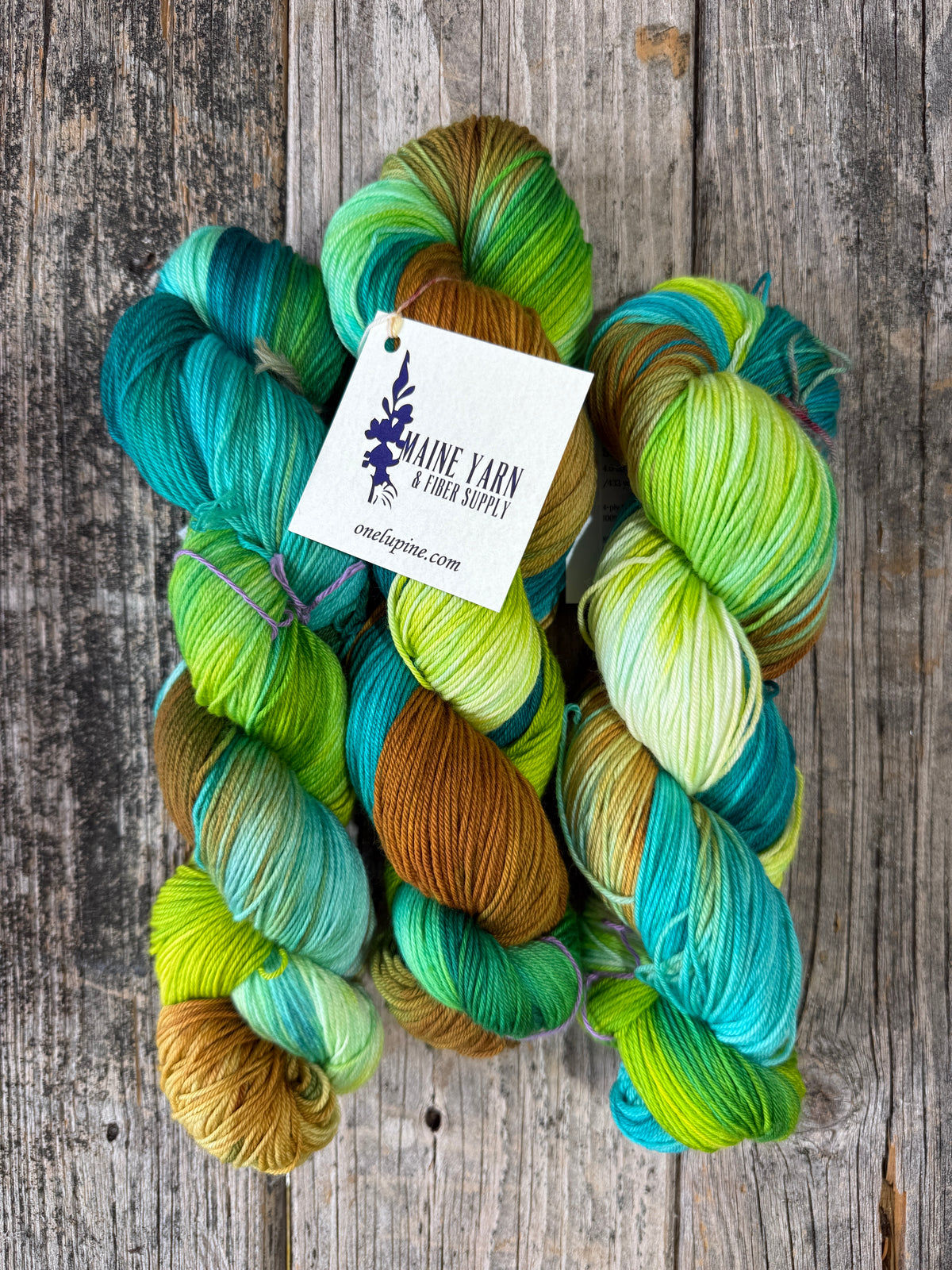 Saco: Cedar Swamp - Maine Yarn & Fiber Supply