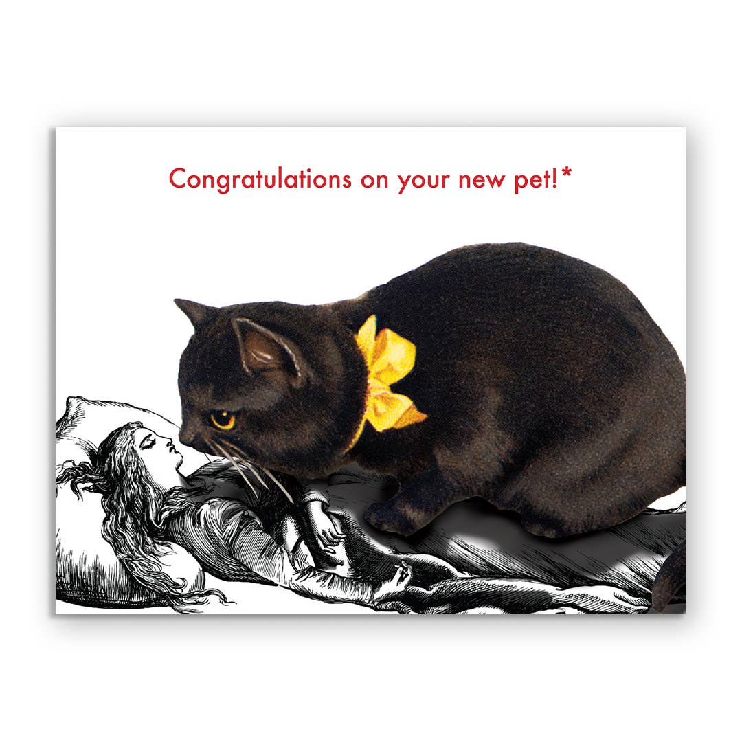 New Pet - Greeting Card by The Mincing Mockingbird - Maine Yarn & Fiber Supply