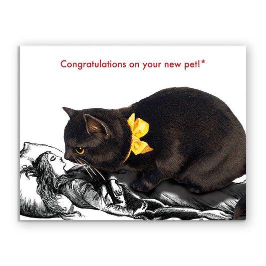 New Pet - Greeting Card by The Mincing Mockingbird - Maine Yarn & Fiber Supply