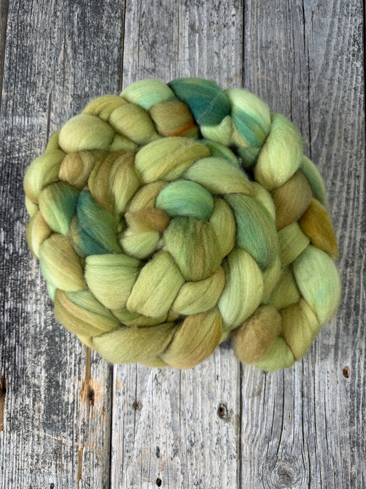Hand Dyed 19.5 Micron Merino Top Fiber Braid 6.63 oz “Lichen”