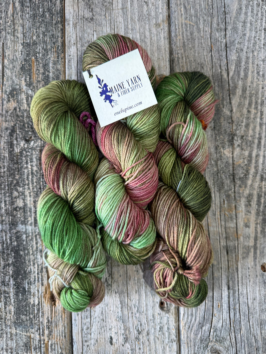 Solon DK: Rhubarb
