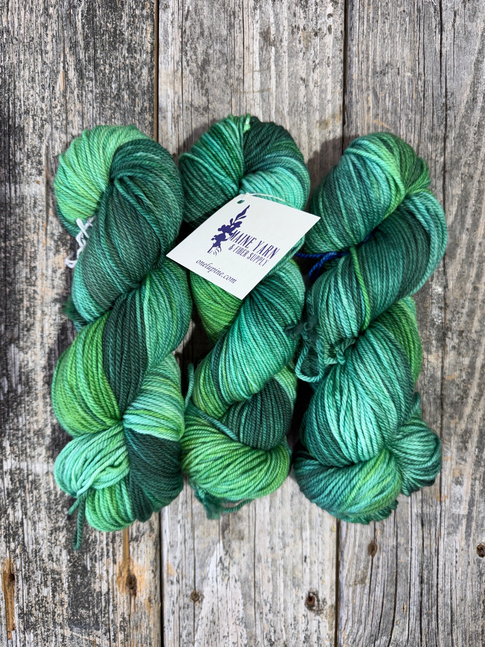 Dexter DK: Understory - Maine Yarn & Fiber Supply