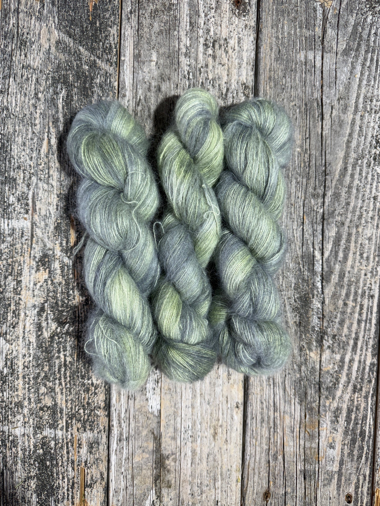 Winterport: Lichen