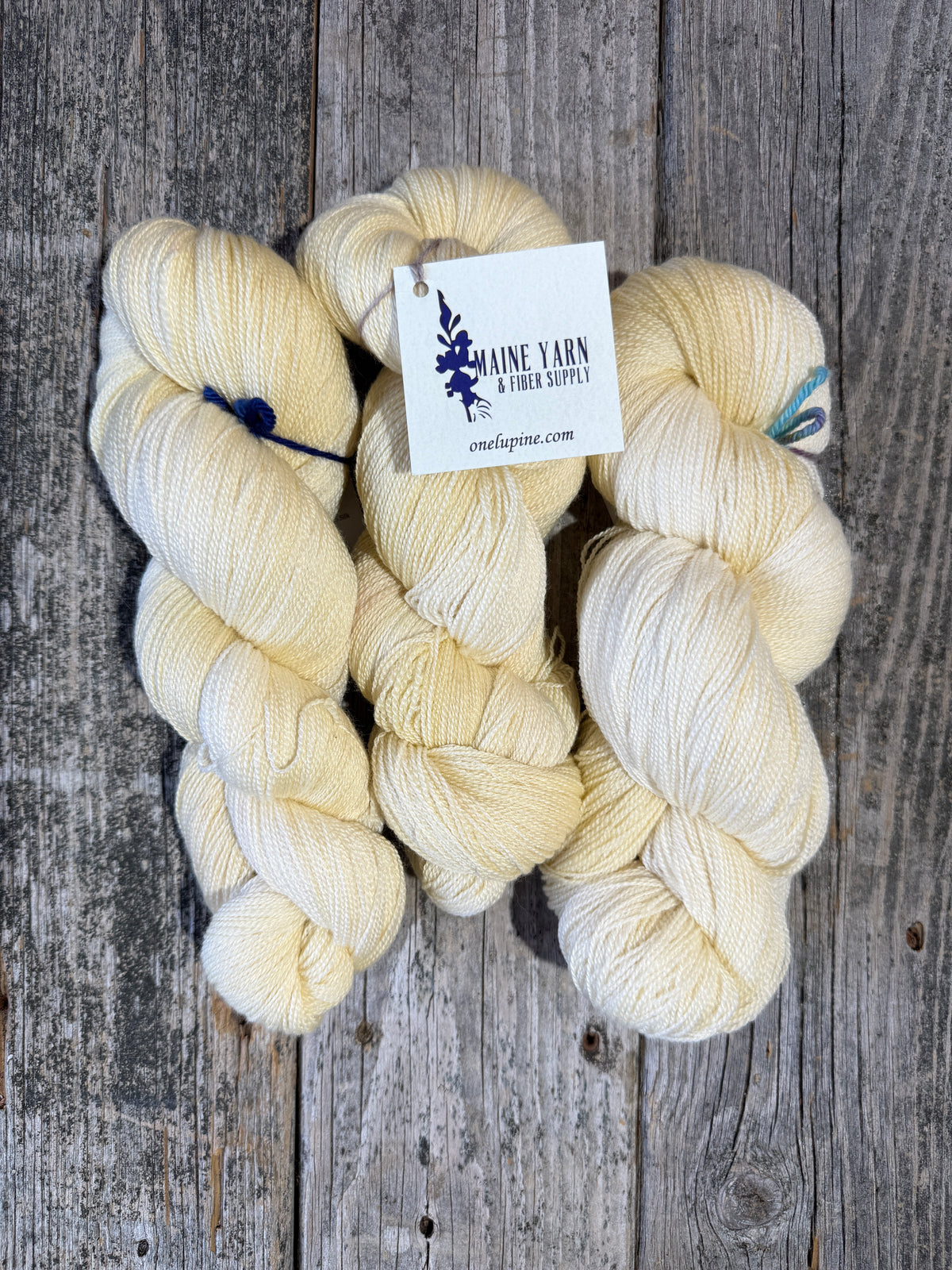 Castine: Vellum