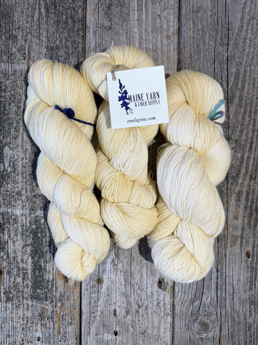 Castine: Vellum