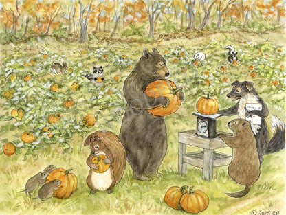 Pumpkin Patch - Greeting Card by Woodfield Press