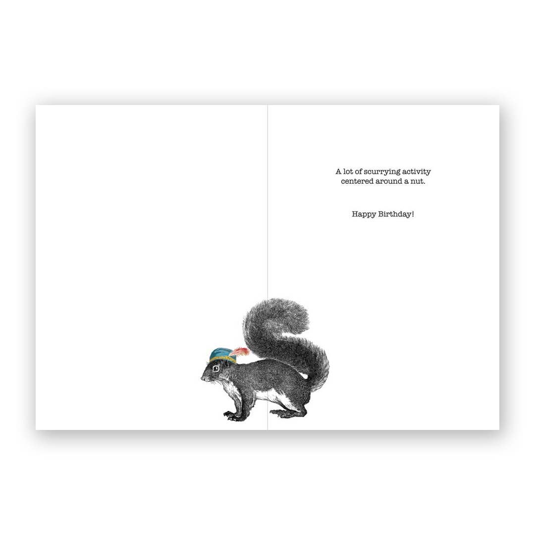 Birthdays are like Squirrels - Birthday Greeting Card by The Mincing Mockingbird - Maine Yarn & Fiber Supply