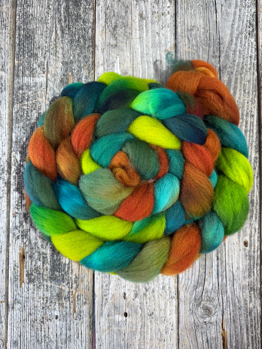 Hand Dyed Cheviot Top Fiber Braid 8.5oz “Cedar Swamp”