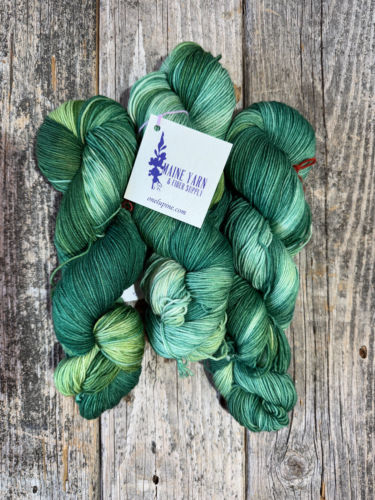 Saco: Old Growth