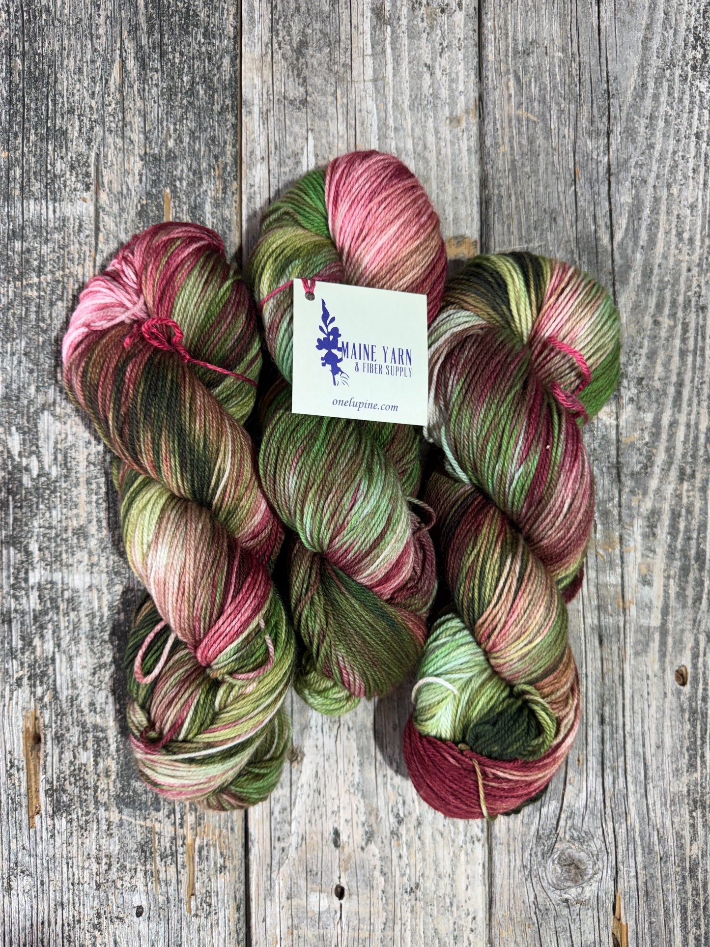 Schoodic: Rhubarb
