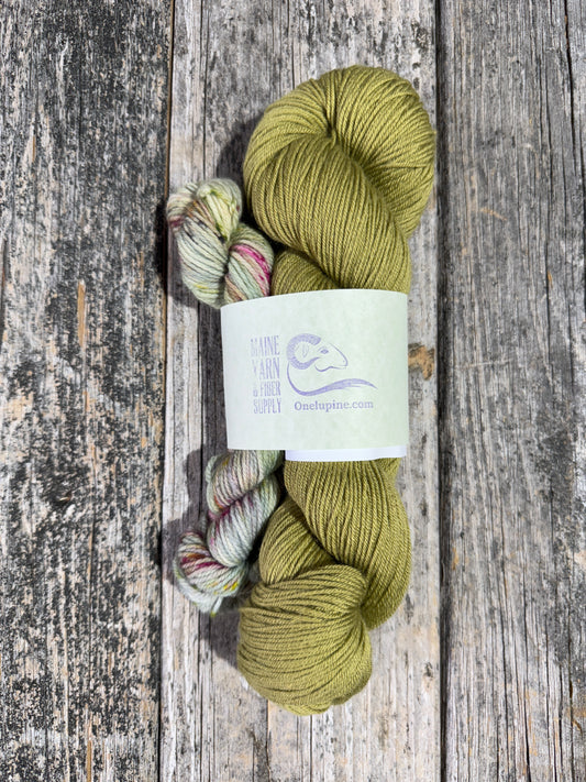 Kokadjo: Seaweed + Amsterdam - Riff Shawl Kit
