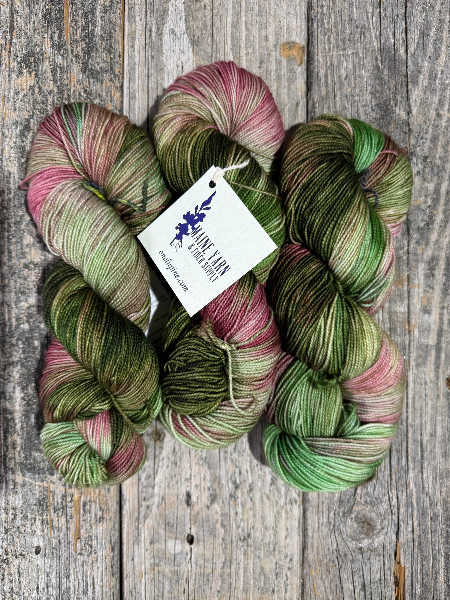 Pemaquid: Rhubarb