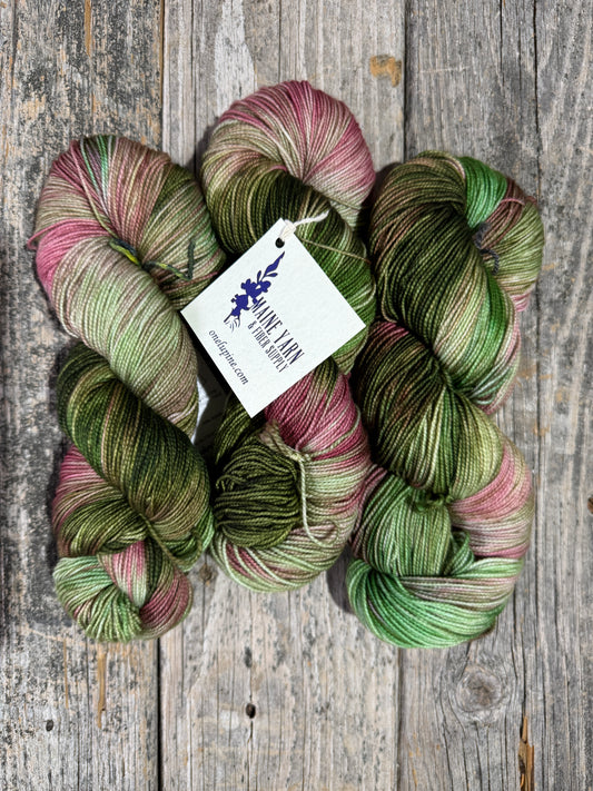 Pemaquid: Rhubarb