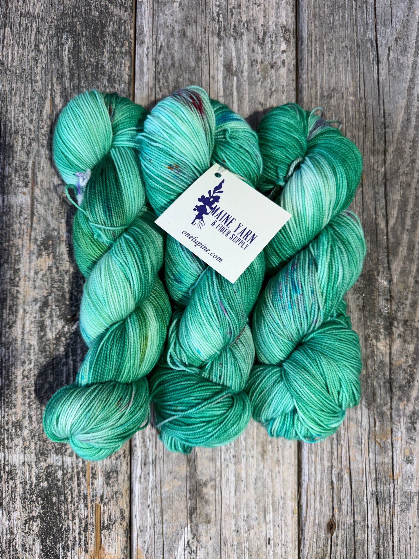 Pemaquid: Joni - Maine Yarn & Fiber Supply