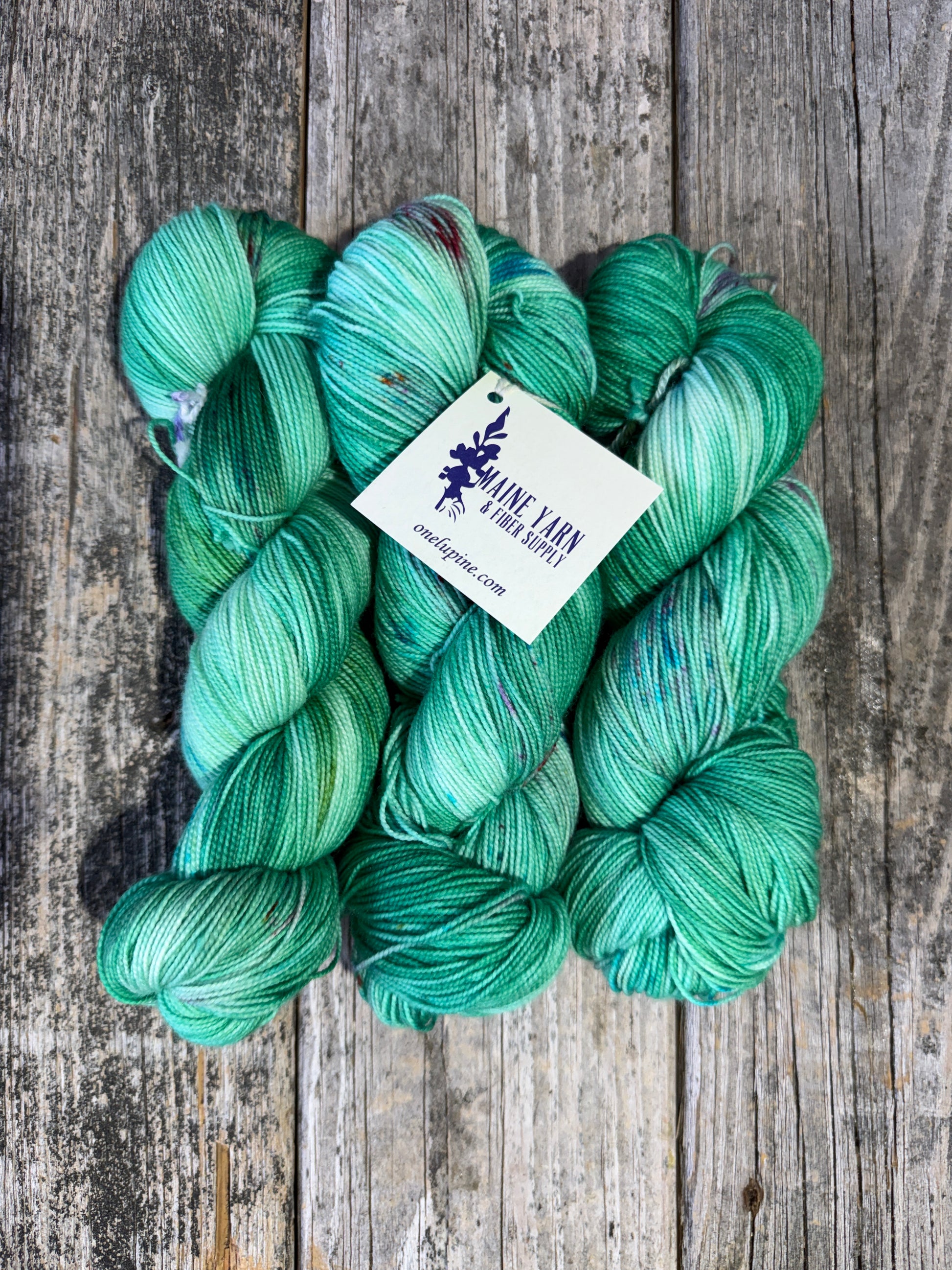 Pemaquid: Joni - Maine Yarn & Fiber Supply