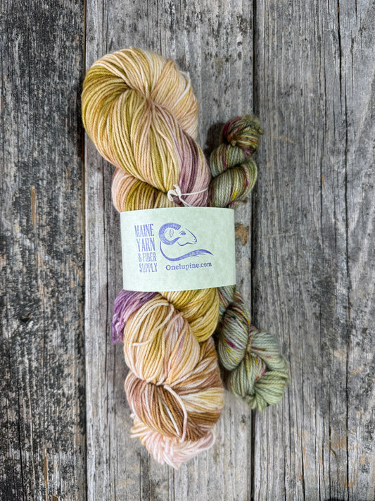 Saco: Anjou + Amsterdam - Riff Shawl Kit