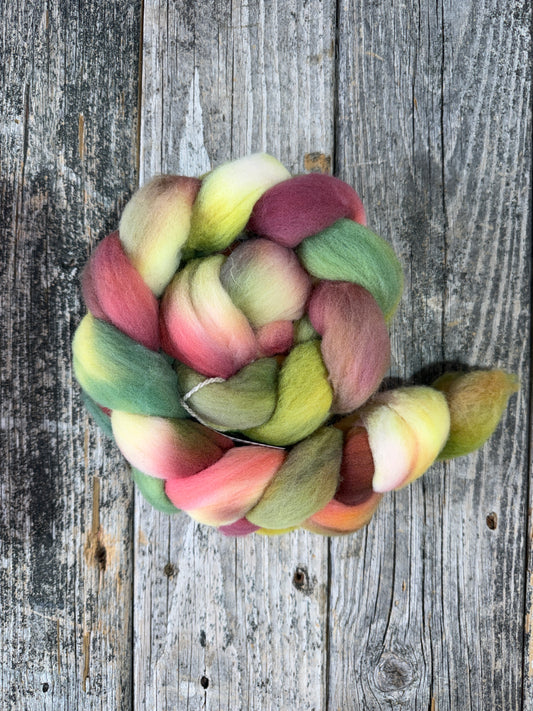 Hand Dyed by Bristol Ivy Targhee Top Braid ~4oz
