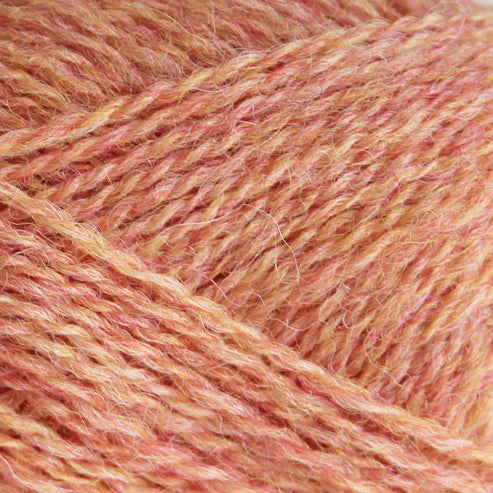 Pip Colourwork: Bronte Peach by Baa Ram Ewe