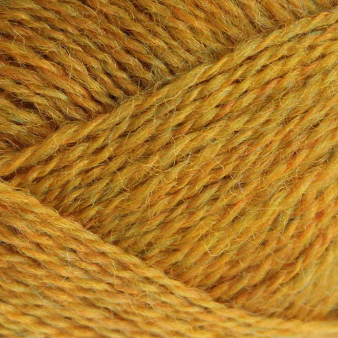 Pip Colourwork: Jorvik Yellow by Baa Ram Ewe