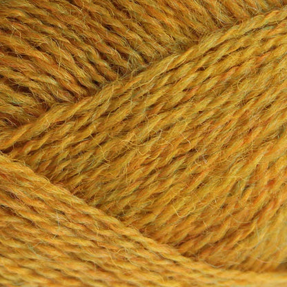 Pip Colourwork: Jorvik Yellow by Baa Ram Ewe