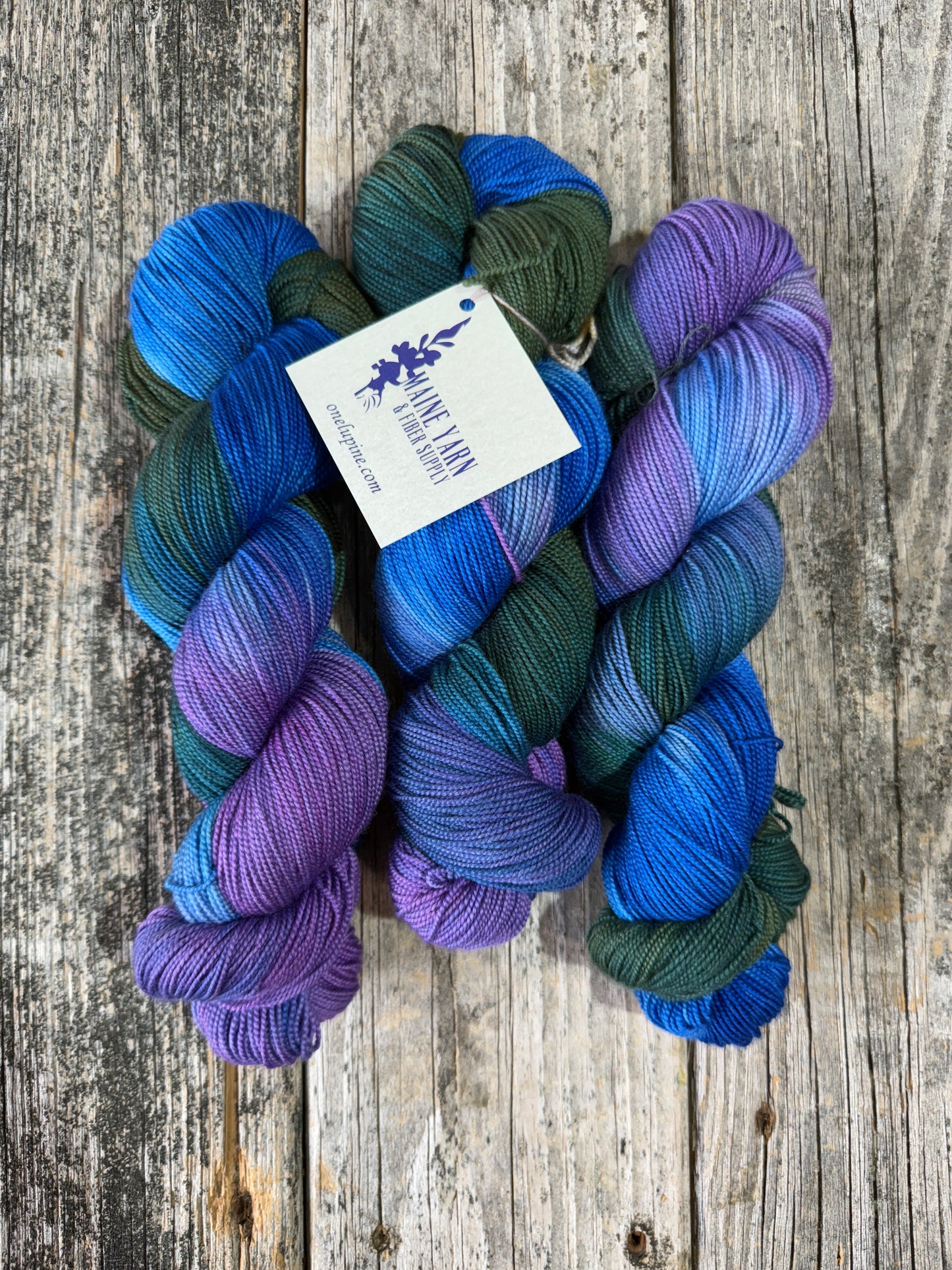 Eastport: Lakes & Lupines