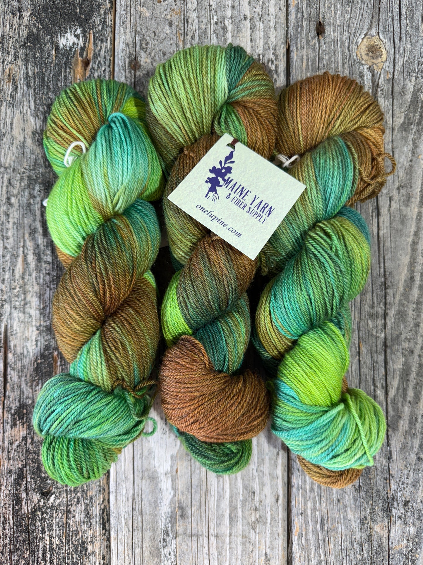Casco: Cedar Swamp