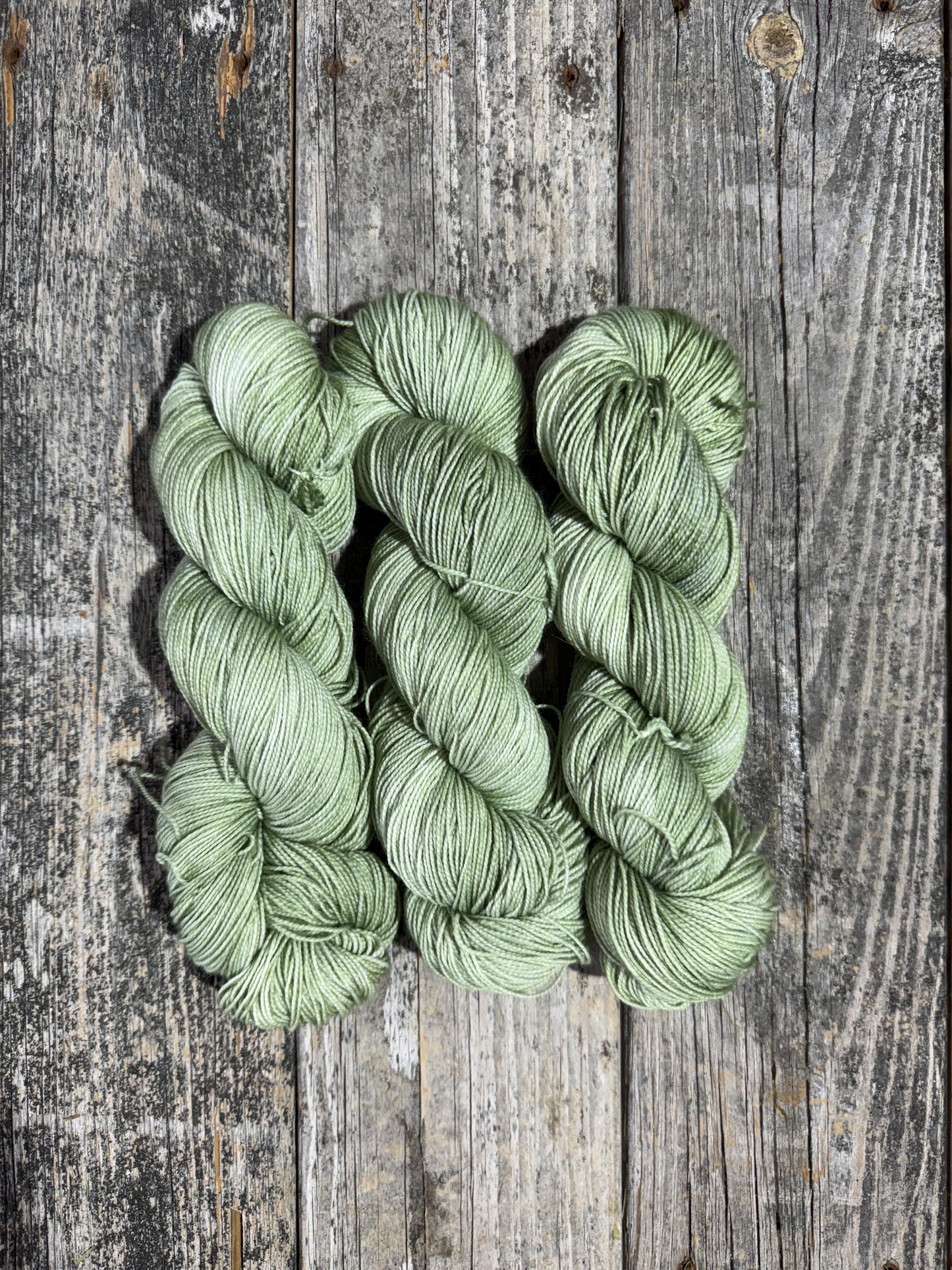 Pemaquid: Lichen