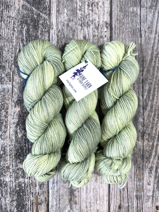 Casco: Lichen