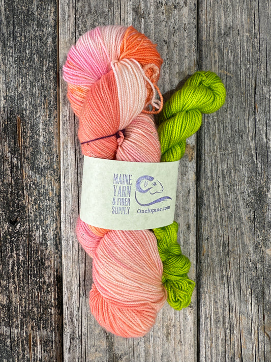 Pemaquid: Ringo Starrburst + Chartreusey - Riff Shawl Kit