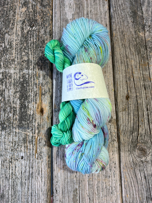 Schoodic: Speckled Egg + Arboretum - Riff Shawl Kit