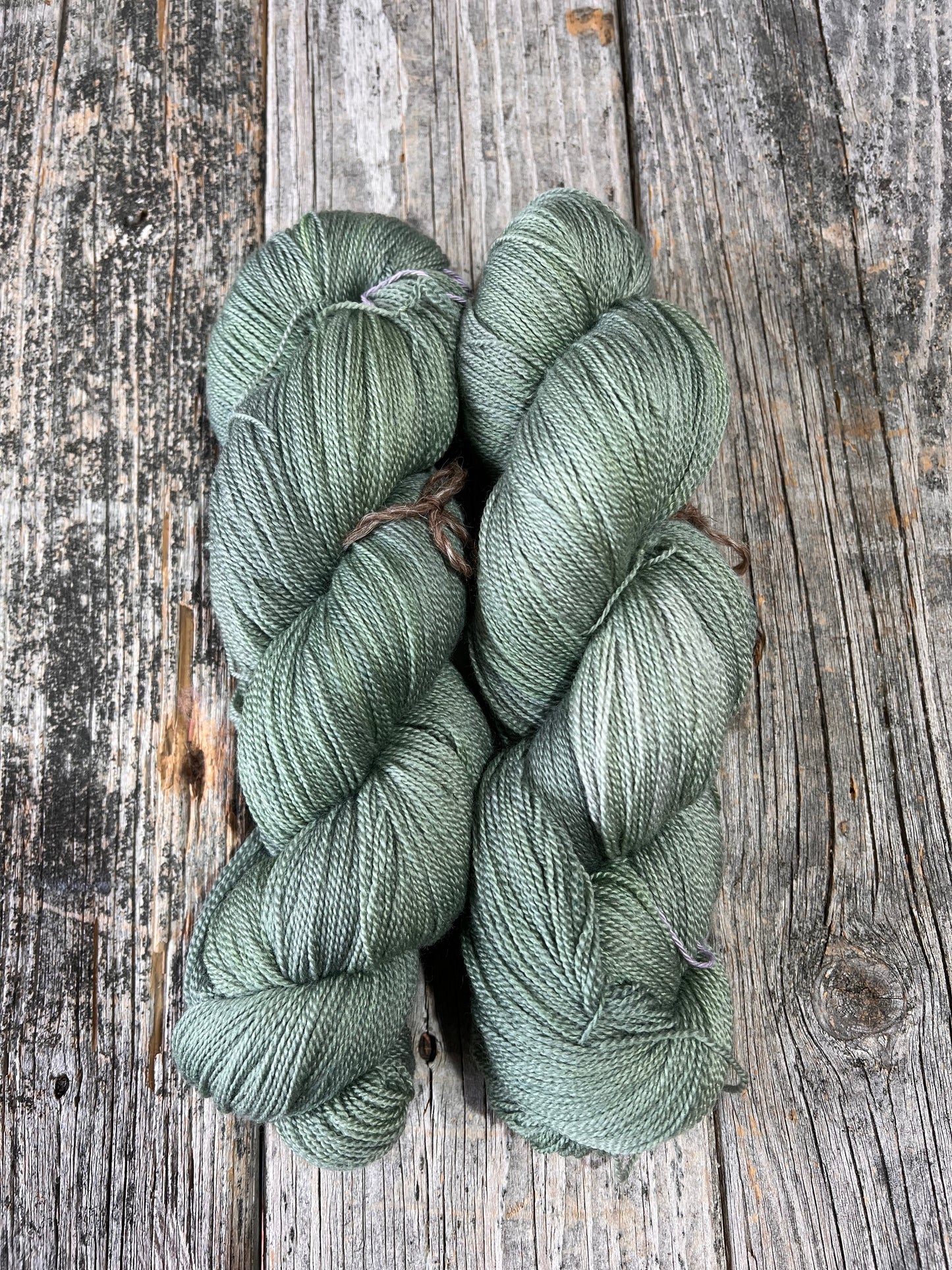 Castine: Old Growth