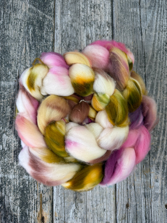 Hand Dyed Superwash Merino Top Fiber Braid 6.10oz  "Anjou”