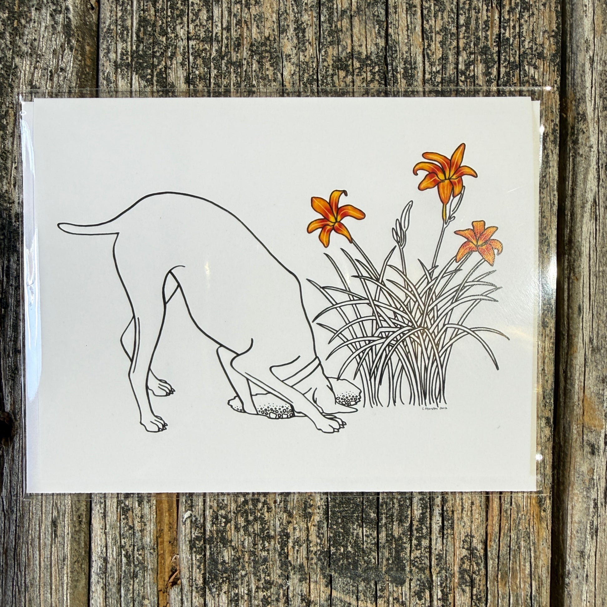 Lillies - Greeting Card by 3 Legged Dog Ink - Maine Yarn & Fiber Supply