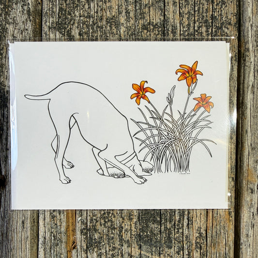 Lillies - Greeting Card by 3 Legged Dog Ink - Maine Yarn & Fiber Supply