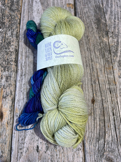 Casco : Lichen + Lakes & Lupine - Riff Shawl Kit