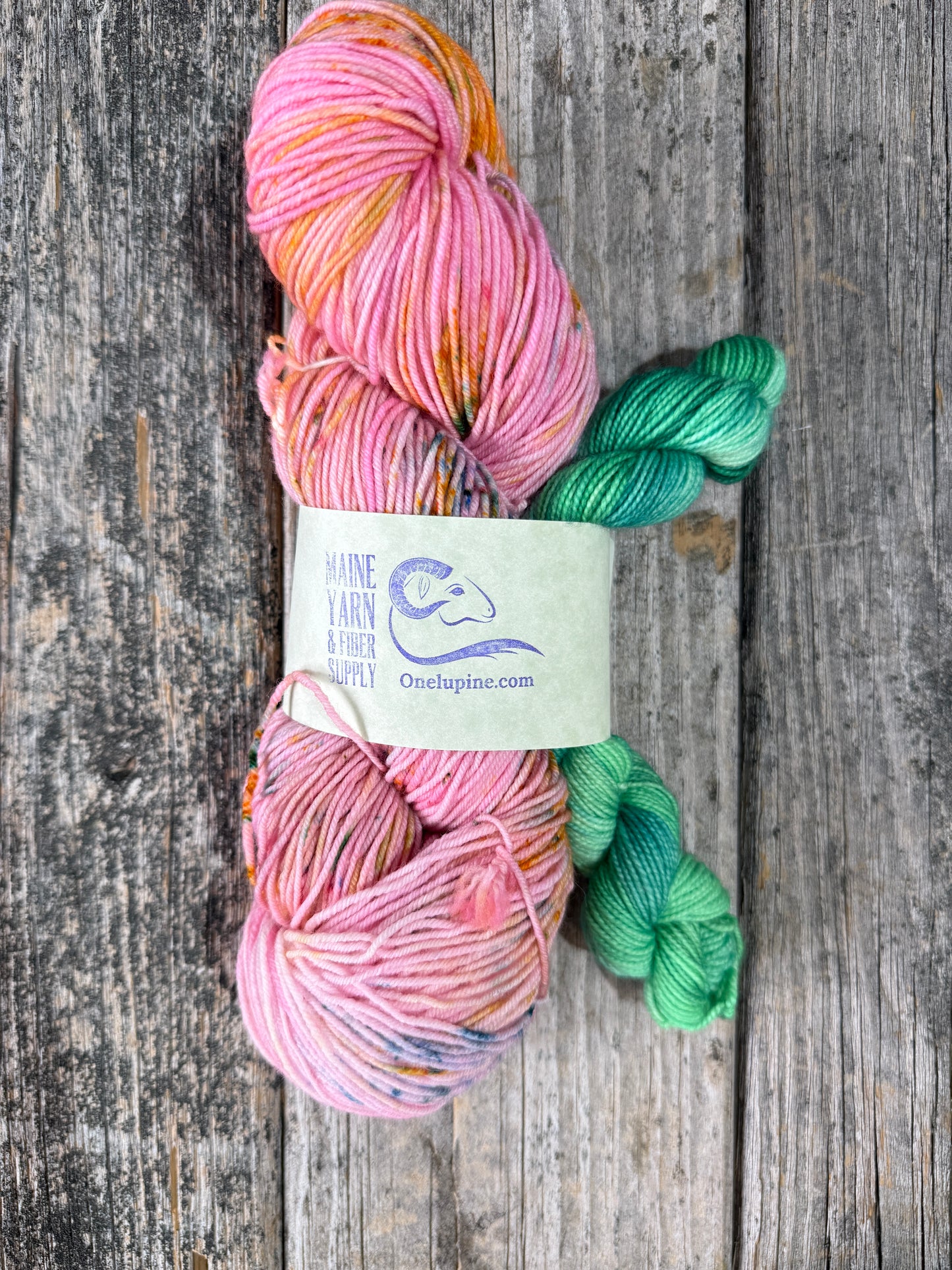 Saco: Cancun + Arboretum - Riff Shawl Kit