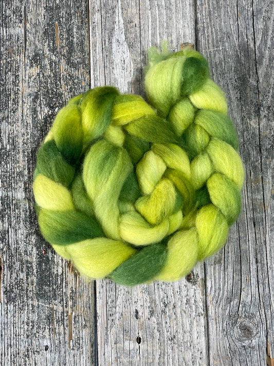 Hand Dyed BFL Top Fiber Braid 4.23oz “Dappled”