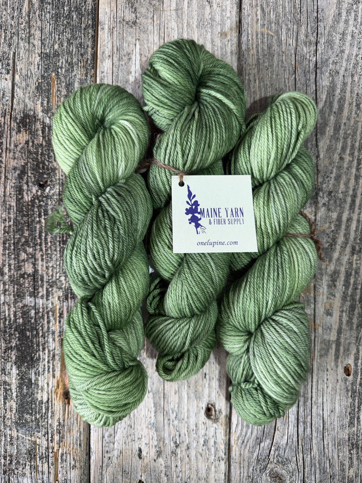 Harbor: Old Growth