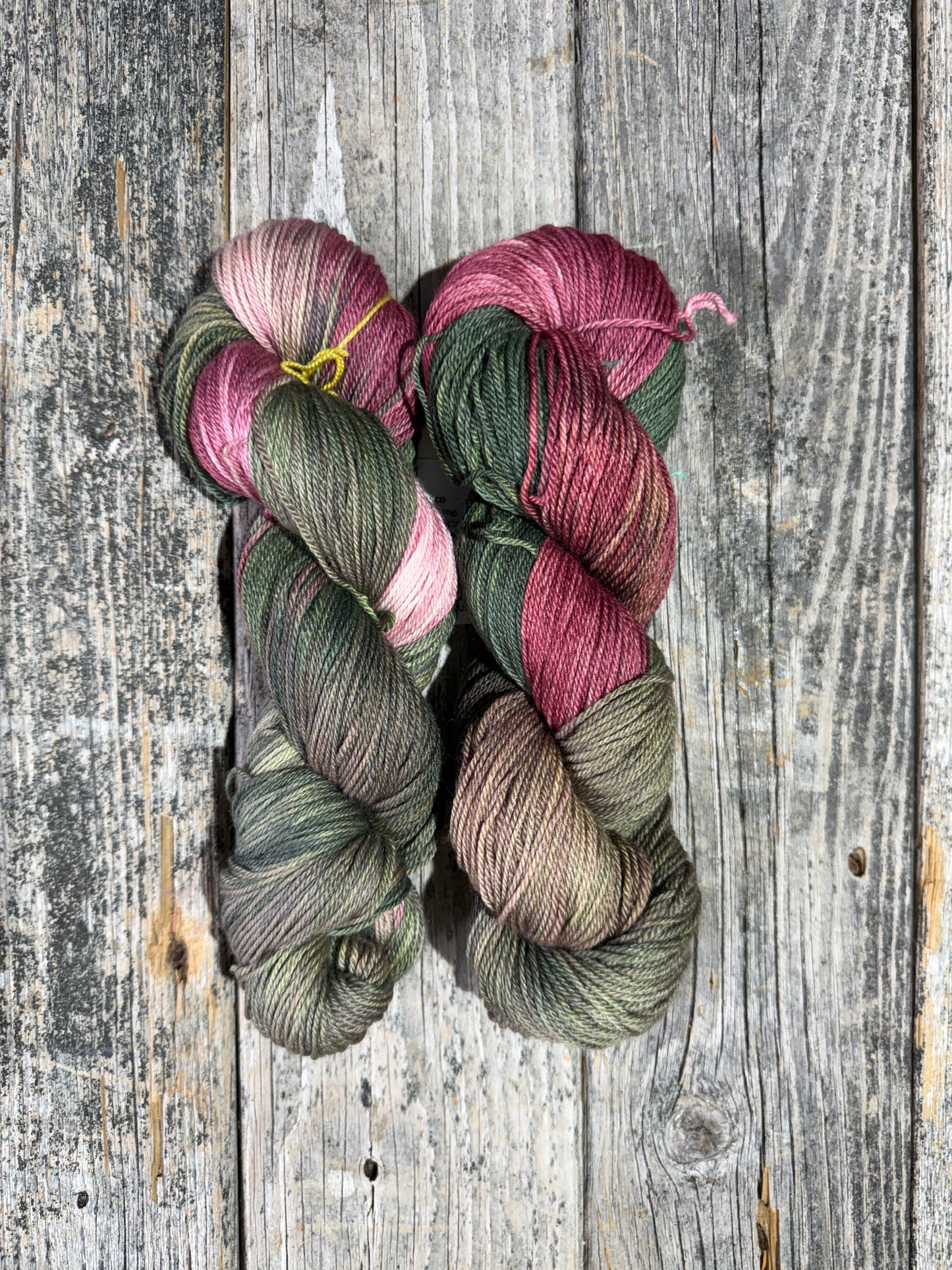 Casco: Rhubarb