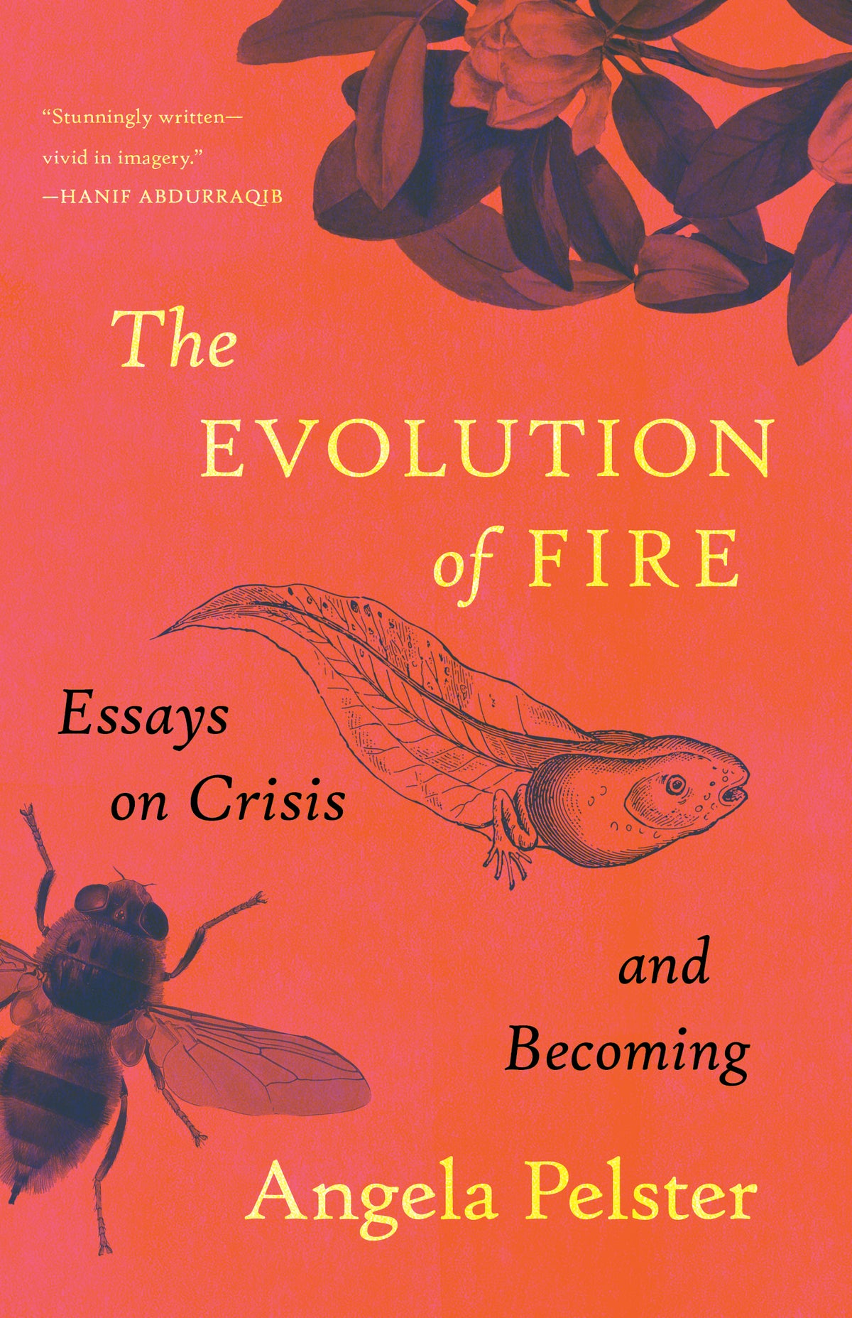 The Evolution of Fire Essays on Crisis and Becoming By Angela Pelster - Maine Yarn & Fiber Supply