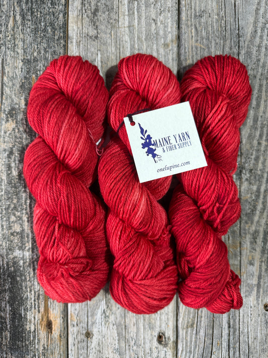 Harbor: Cardinal Sin