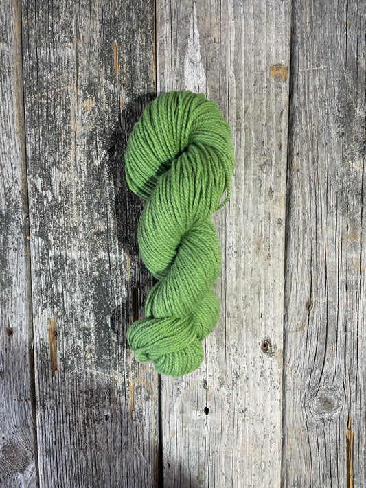 Briggs & Little Heritage: Fern Green - Maine Yarn & Fiber Supply