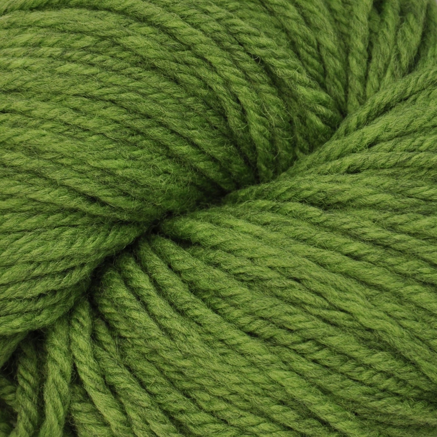 Harborside Aran: Sea Monster Green by Brown Sheep Company