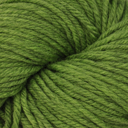 Harborside Aran: Sea Monster Green by Brown Sheep Company