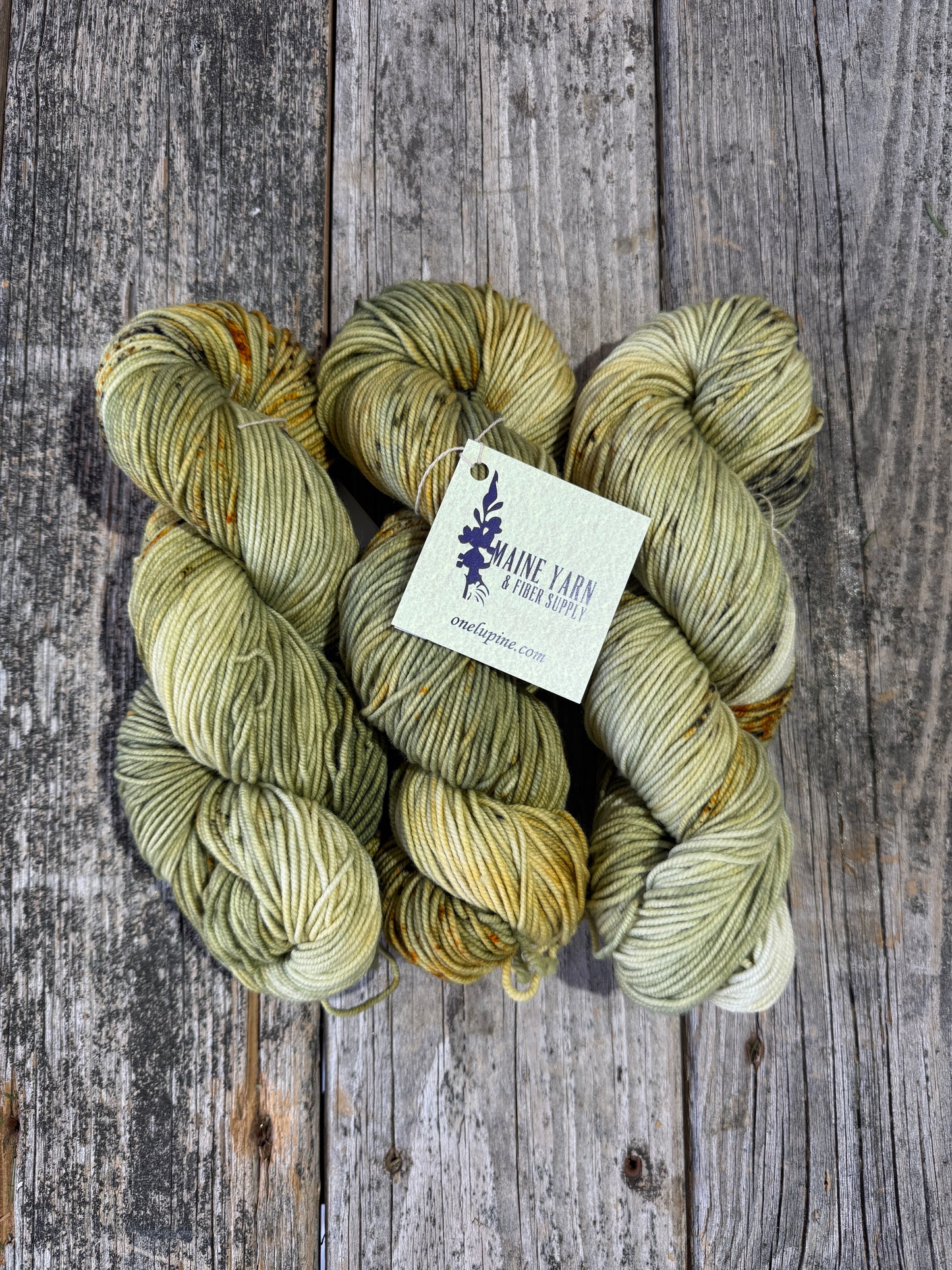 Dexter DK: Dappled