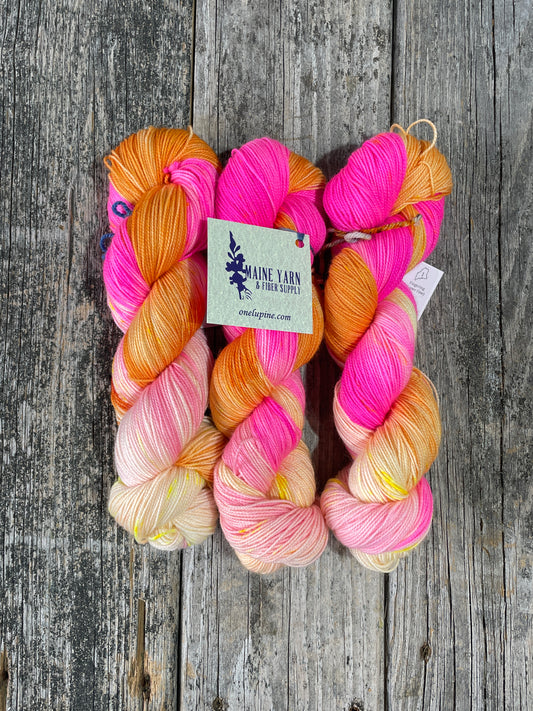 Pemaquid: Pink Pony Club