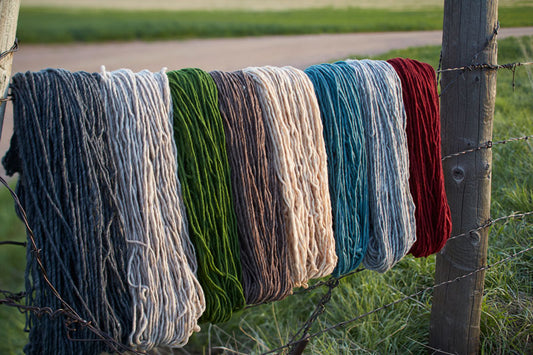 Lanaloft Sport: Buckwheat by Brown Sheep Company - Maine Yarn & Fiber Supply