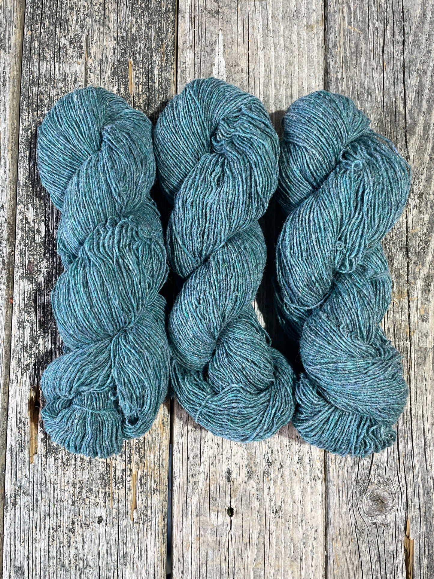 Sport by Briggs & Little