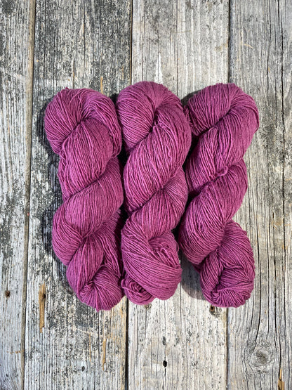 Sport by Briggs & Little