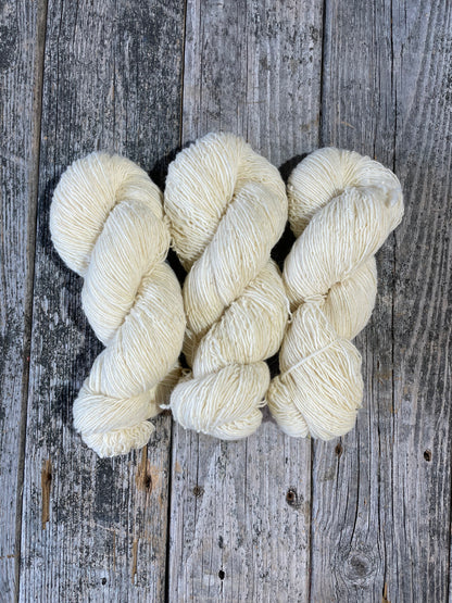 Sport by Briggs & Little